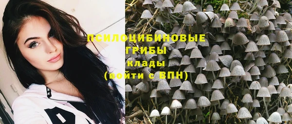 PSILOCYBIN Волоколамск