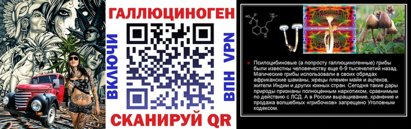 Галлюциногенные грибы Psilocybe  закладки  Железноводск 