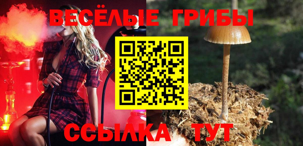 Псилоцибиновые грибы Psilocybine cubensis Железноводск