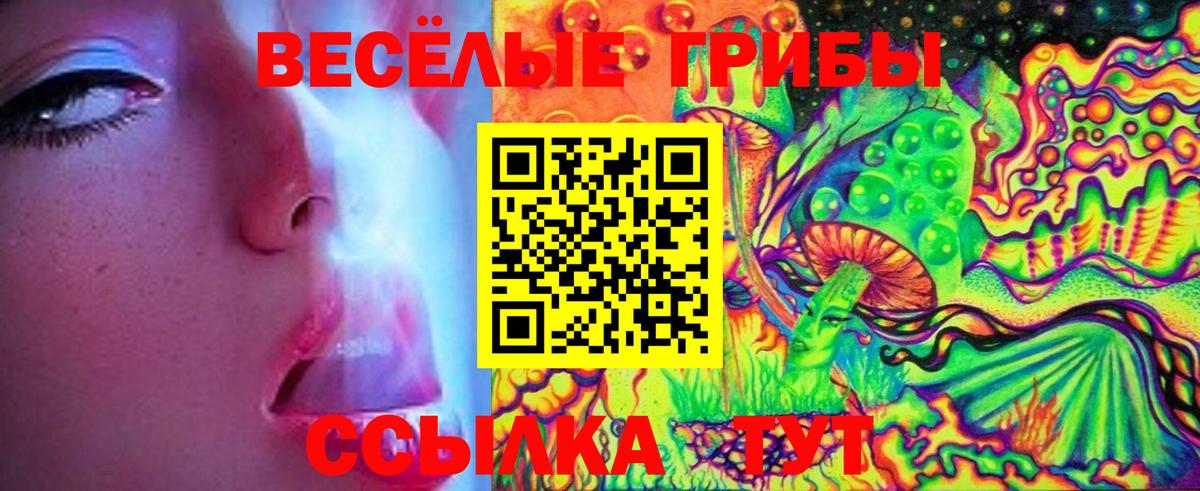 Галлюциногенные грибы прущие грибы  Вход с VPN  где продают   Железноводск 